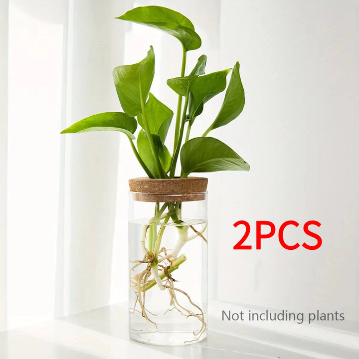 1pc, Hydroponics Plants Desktop Glass Planter Vase For Home Decoration, Plant Propagation Station Bud Vase, Desktop Hydroponics